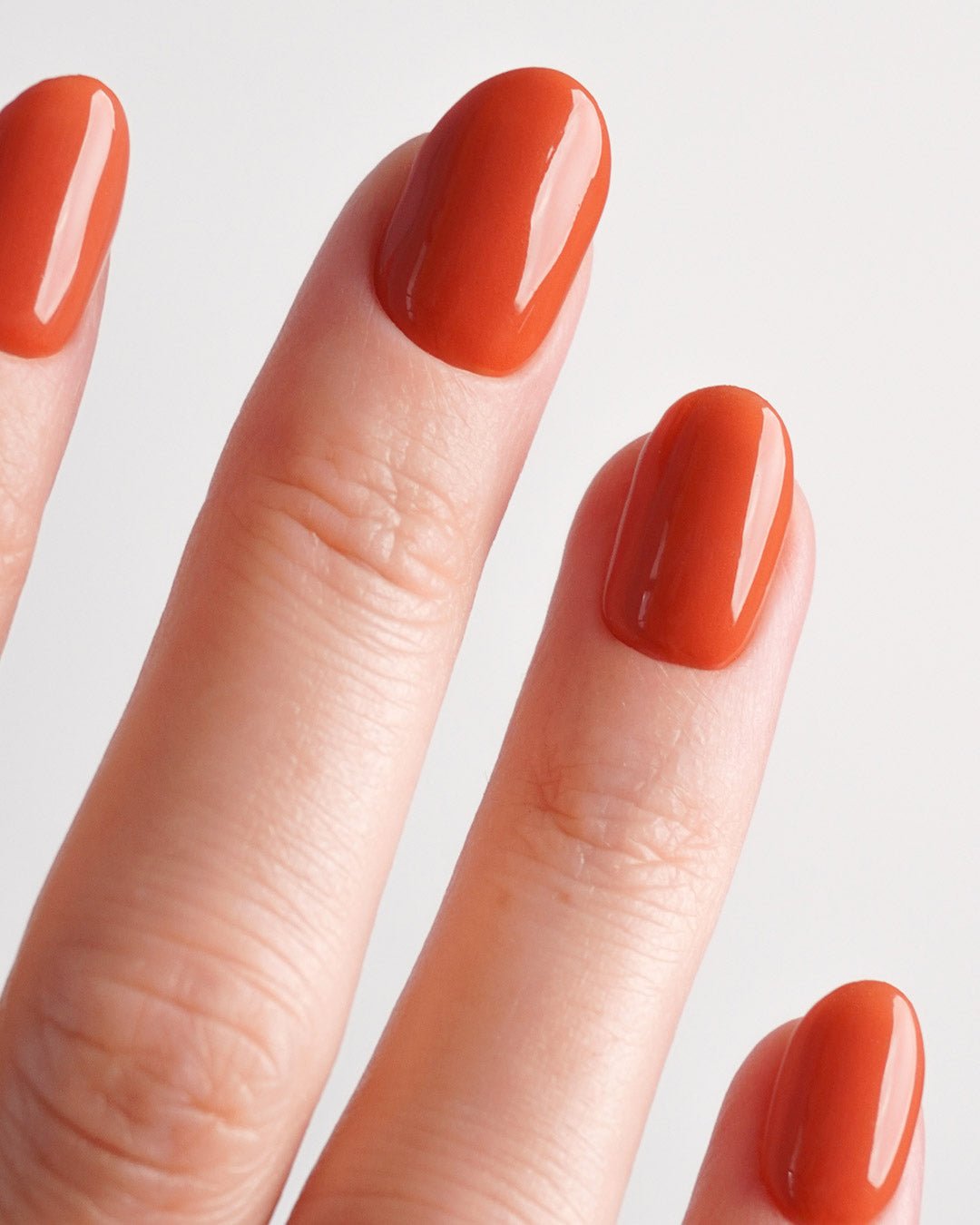 Pumkin Pie Dipping Powder - Doonails US