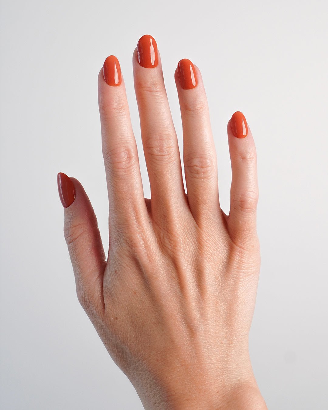 Pumkin Pie Dipping Powder - Doonails US